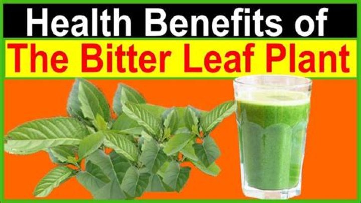 The list of effects of drinking the bitter leaf juice here