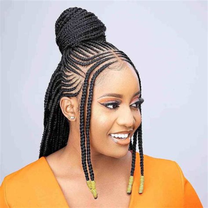 Top 5 Stephanie Coker braids styles