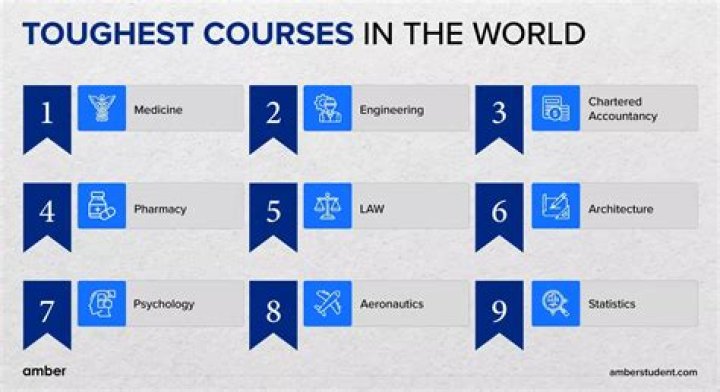 15 Best courses to study in the world in 2024/2025
