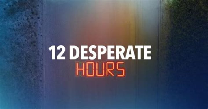 Is Lifetime's '12 Desperate Hours' Based on a True Story? We're Desperate for Answers