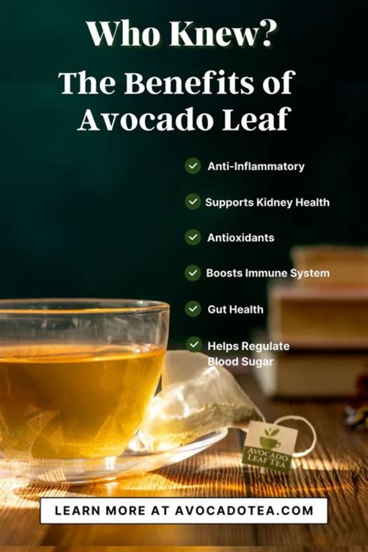 Health benefits of avocado leaves