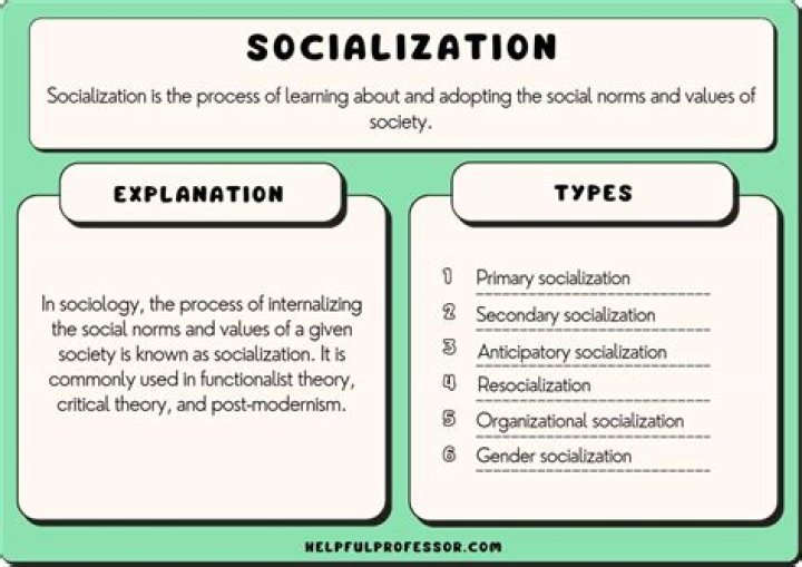What are the types of socialization in sociology?