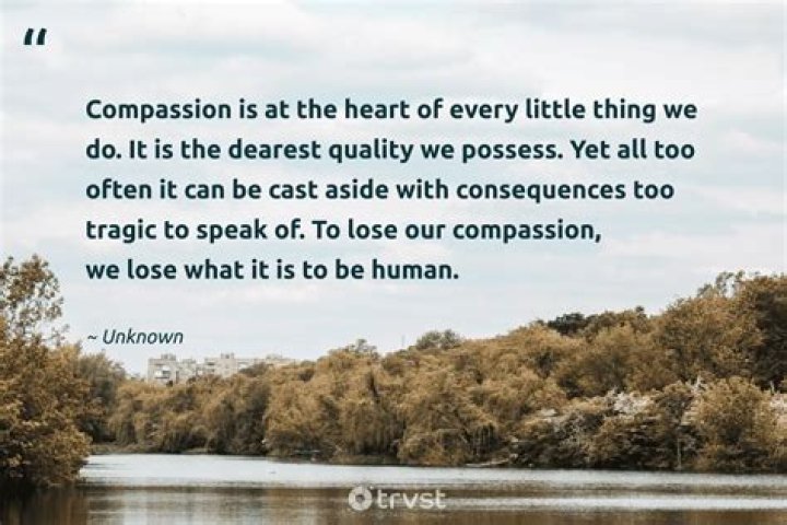 30 quotes about helping others that will awaken compassion in you