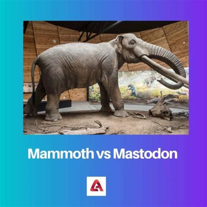 Mastodon from USA | Popnable