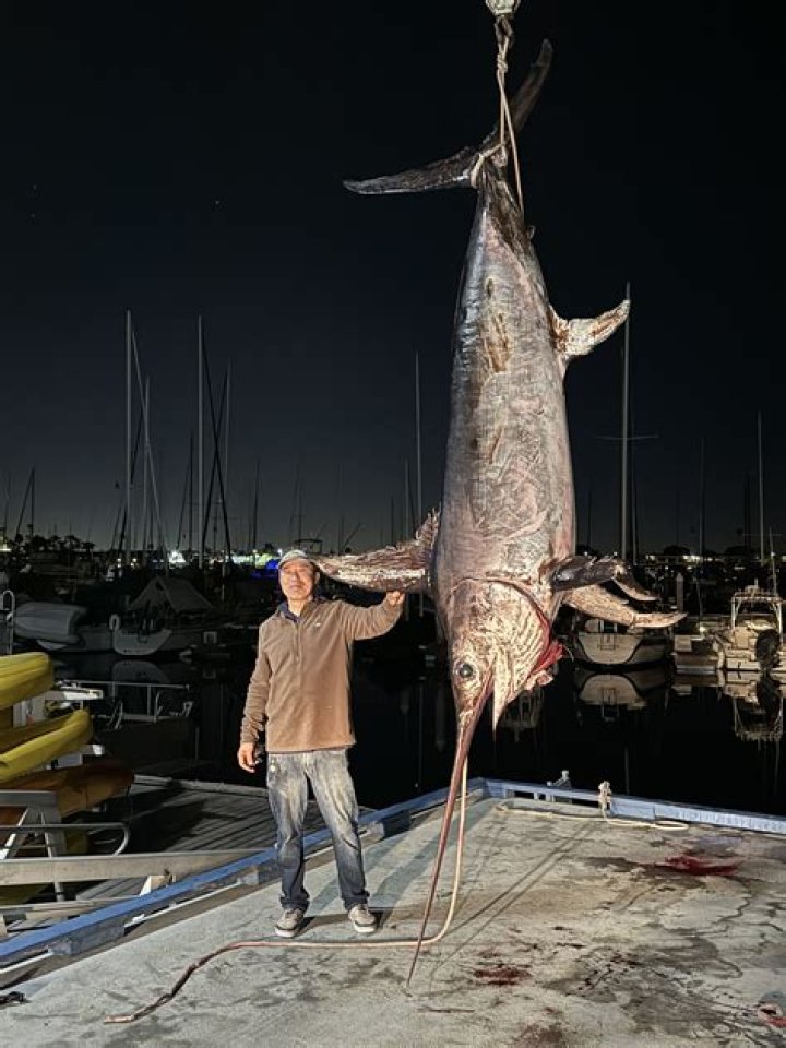 How lucky fisherman killed mysterious swordfish in Rivers, man narrates as photos, video go viral; cause stir