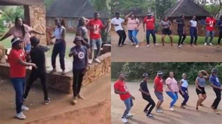 Siblings Join Viral Dance Challenge, Their Choreography Video Stirs Massive Reactions