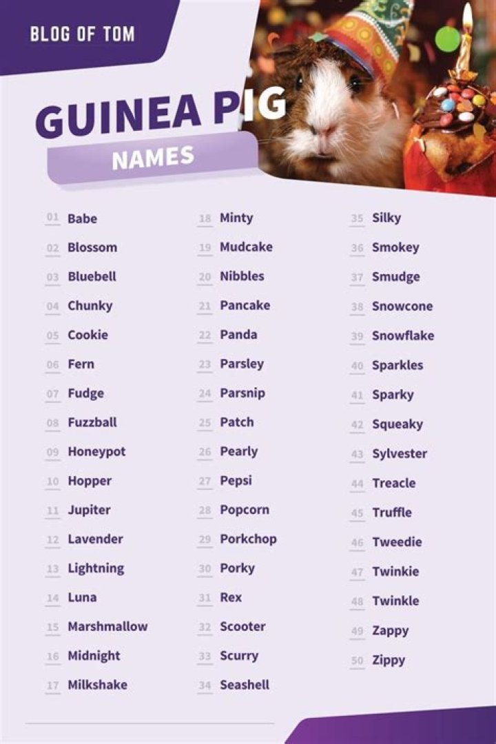 100+ unique guinea pig names for your beloved furry friend
