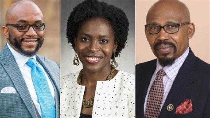 "Making The Country Proud": Segun Adeyina, Other Nigerians who Won Elections in Georgia