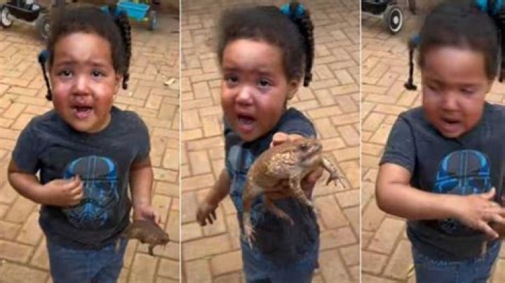 "Make Sure She Doesn't See Snakes": Brave Little Girl Holds Frog with Bare Hands, Video Causes Frenzy