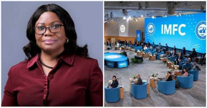 Nigerian Woman, Iyabo Masha Breaks Record, Becomes First African G-24 Director in 52 Years