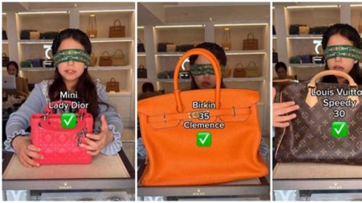 Girl Identifies Make of Designer Bags While Blindfolded, Netizens React: "Does She Go To School?"