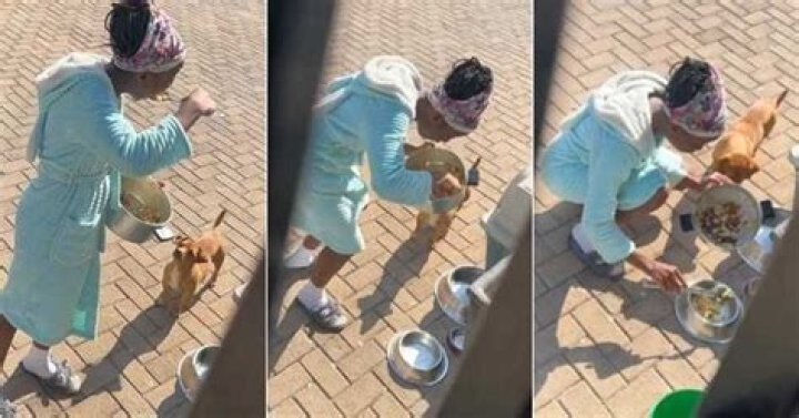 Mother Catches Her Daughter Red-handed Eating Dog Food at Home, Video Causes Stir