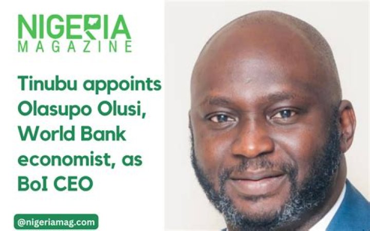 Breaking: Tinubu Appoints Olasupo Olusi as MD, CEO of Bank of Industry