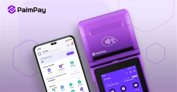 Fraud Alert: Palmpay, Opay Take Action, Announces Account Changes, Customers To Update