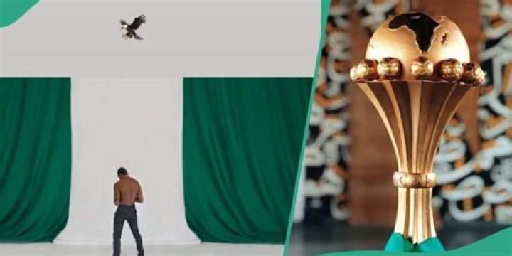 AFCON: Wizkid Poses Elegantly in Nigerian Flag-Coloured Background, Sends Sweet Message to Eagles