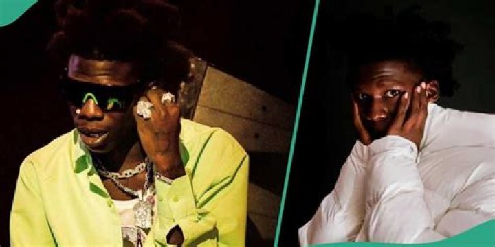 Seyi Vibez Brutally Dragged After Committing Grammatical Blunder During Interview: "We Love Him"