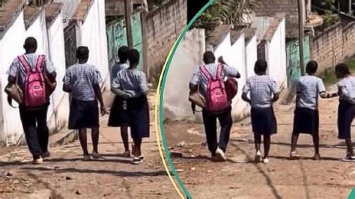 Boy Criticised for Carrying Bags of Female Classmates While They Walk Freely Like Queens on the Road