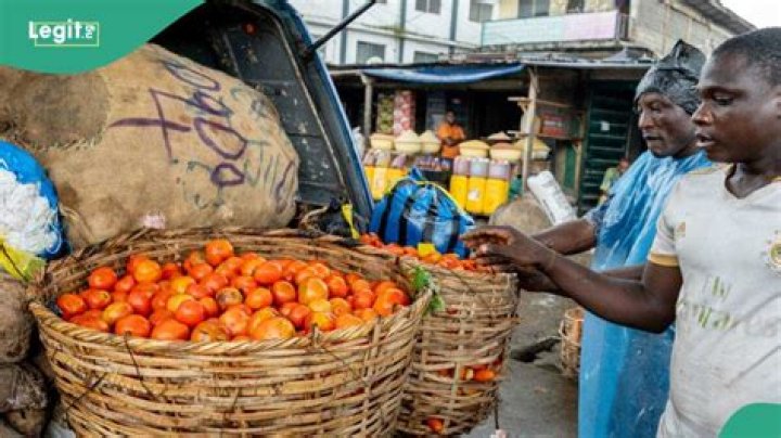'Not N62,000': Nigerians’ Preferred Minimum Wage Disclosed amid Economic Hardship