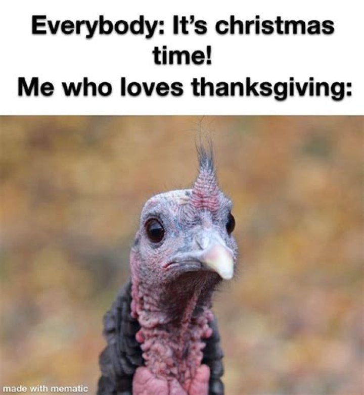 40+ Funny thanksgiving memes for you to share