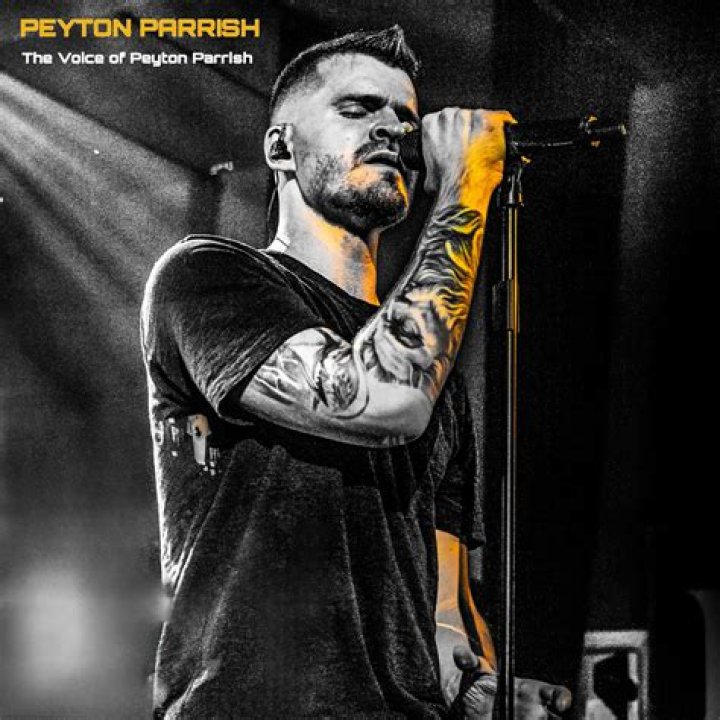 Berserker by Peyton Parrish from USA