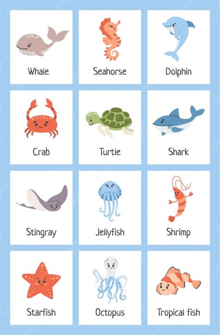 Howling by Syml from USA