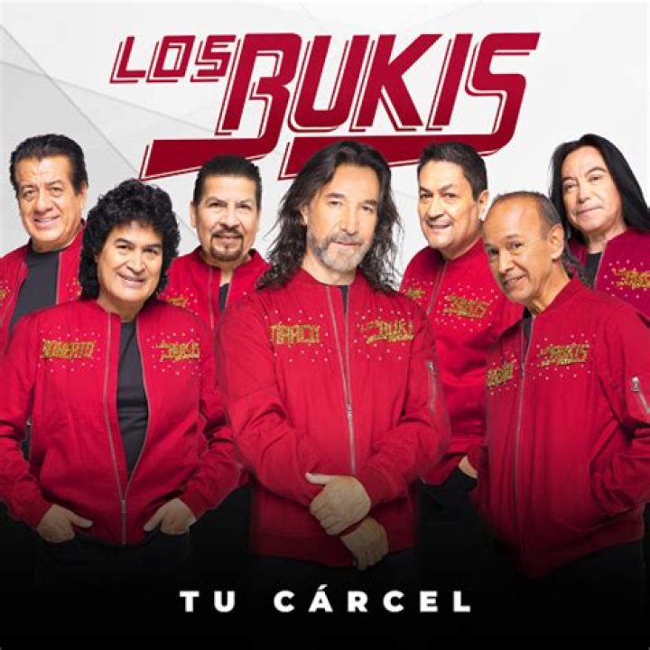 Necesito Una Compañera by Los Bukis from Mexico