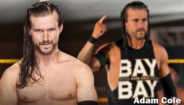 Adam Cole Net Worth
