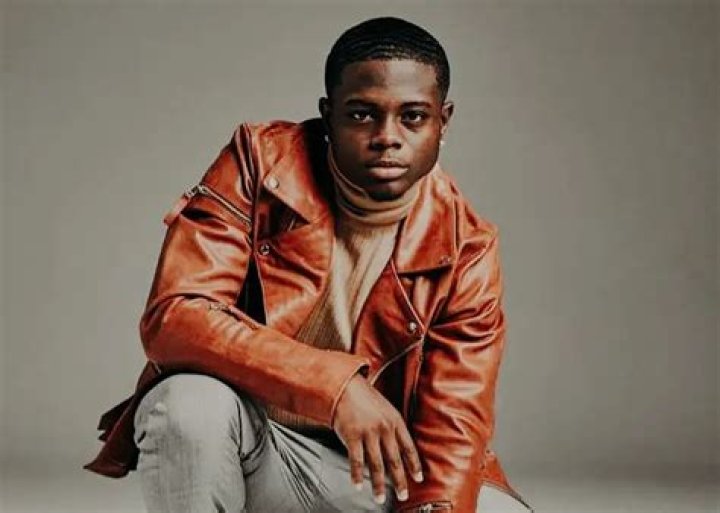 Know about Akili McDowell, the Lead In ‘David Makes Man’