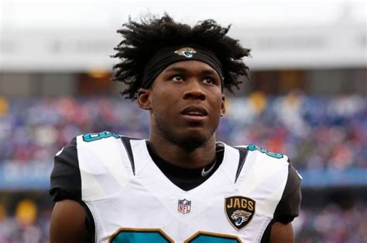 Allen Hurns Net Worth