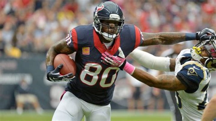 Andre Johnson – Biography, Facts & Life Story