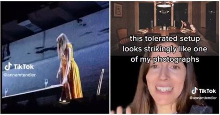 Anna Marie Tendler's Joke Accusing Taylor Swift of Plagiarizing Her Art Backfired