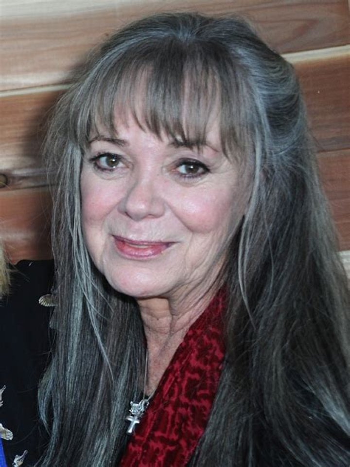 Anne Lockhart – Biography, Facts & Life Story