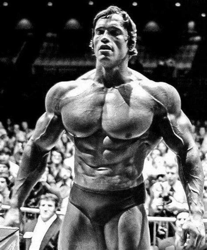 Arnold Schwarzenegger Net Worth – How Much is Arnold Worth?