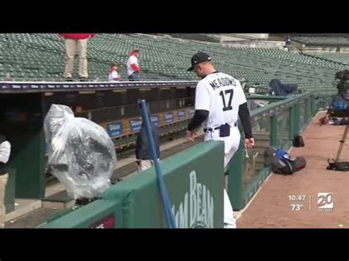 Austin Meadows Net Worth 2024