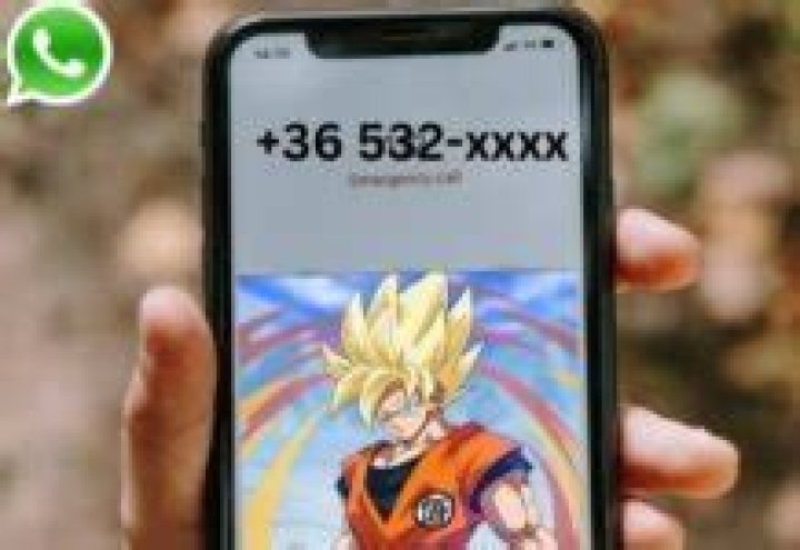 Avani Gregg Phone Number WhatsApp Number Contact Mobile