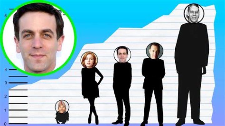 B.J. Novak Height