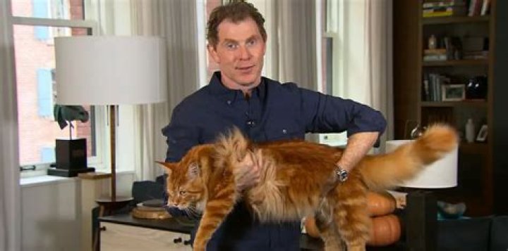 Bobby Flay Height