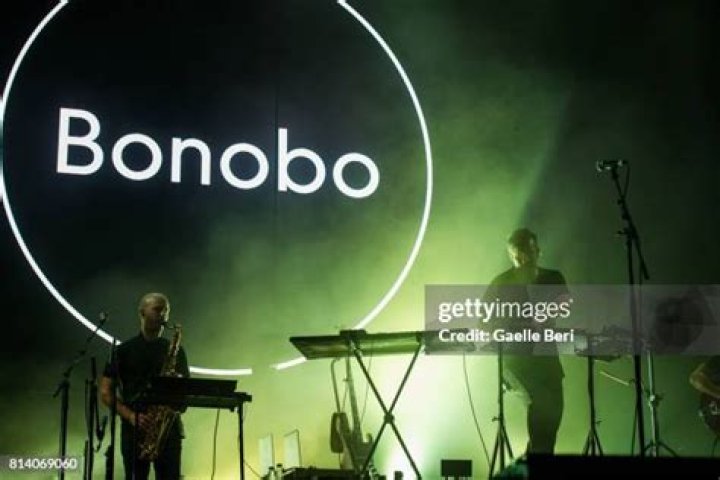 Bonobo, Simon Green Net Worth, Bio (Wiki)