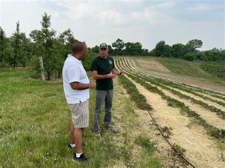 Brian Hutton Jr WTAE, Bio, Wiki, Age, Height, Wife, Salary, and Net Worth