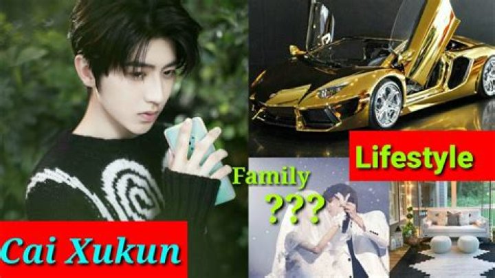 Cai Xukun Net Worth