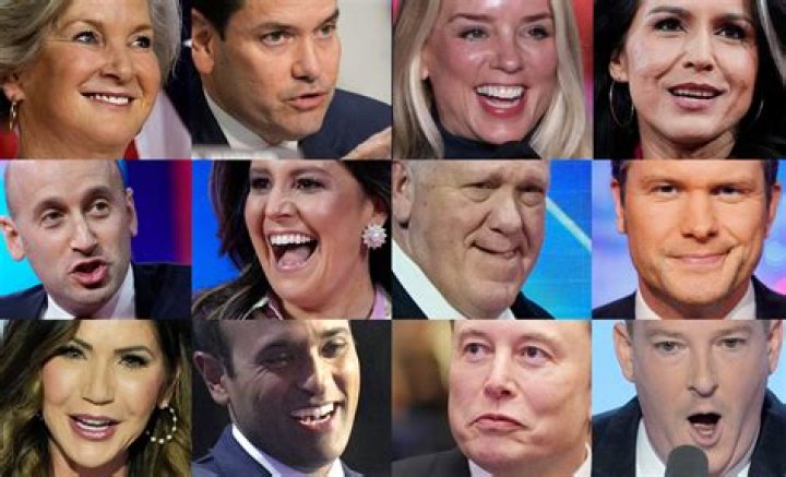 Carat Cheung Net Worth