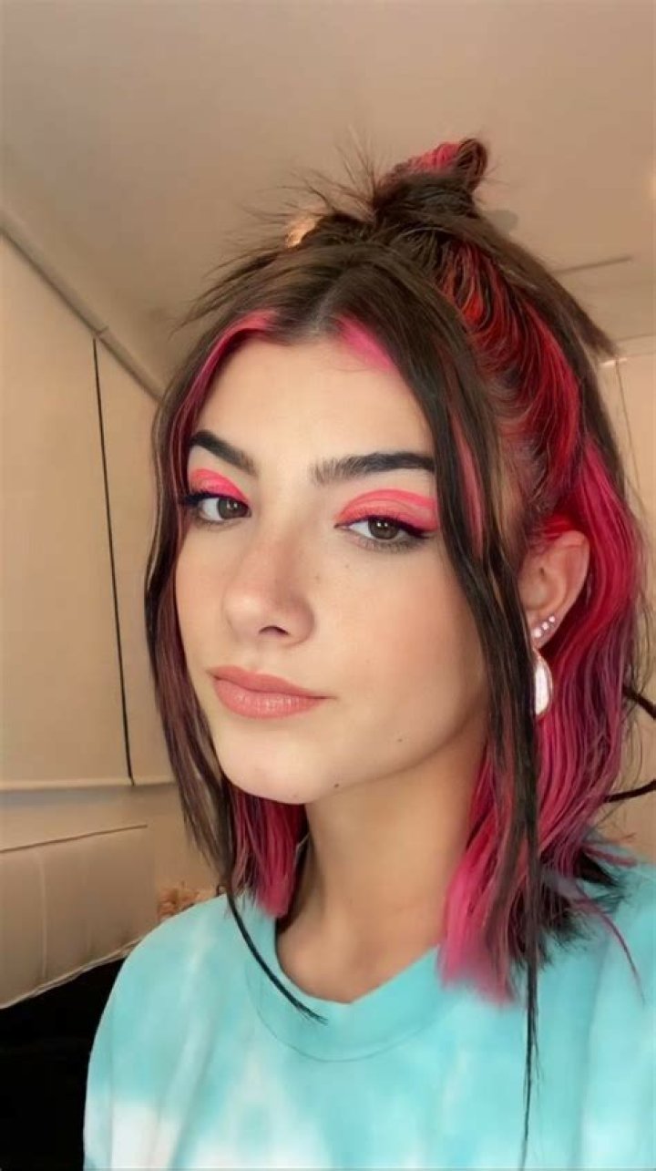 Charli D'Amelio Debuts New Hair After Haters Said She Looked Better "Last Year" 