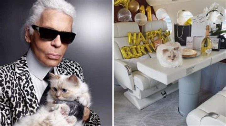 Choupette Lagerfeld Net Worth 2024