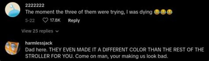 How Many Dads Does It Take to Close a Stroller? Viral TikTok