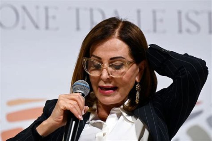 Daniela Santanche Net Worth