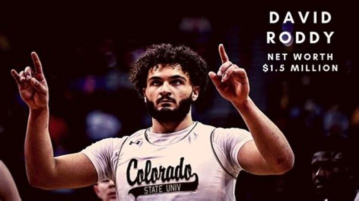 David Roddy Net Worth 2024