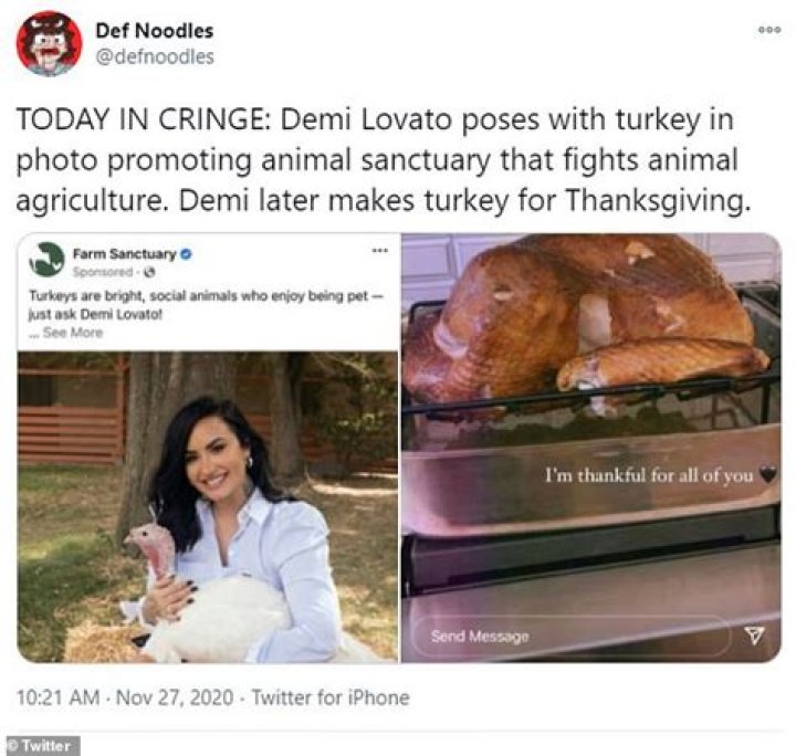 Demi Lovato Called "Hypocrite" for Hugging Turkeys Before Thanksgiving