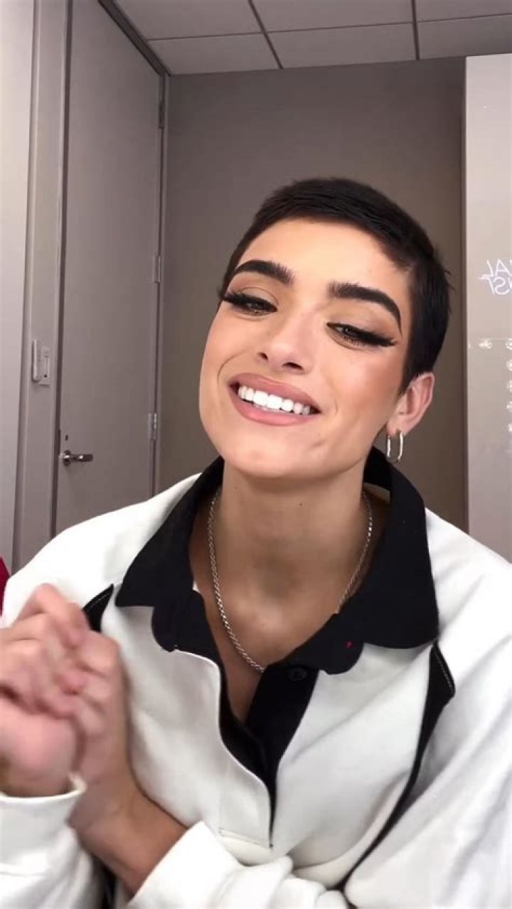 Dixie D'Amelio — Latest News and Updates