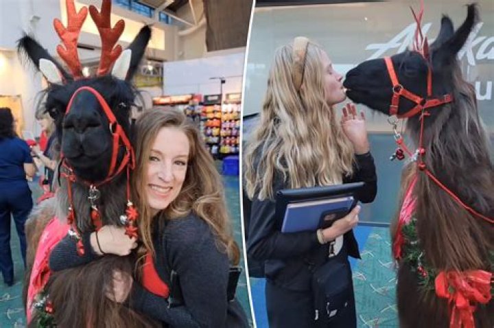 Does Bill Pullman Have A Limp In Real Life? Health Update