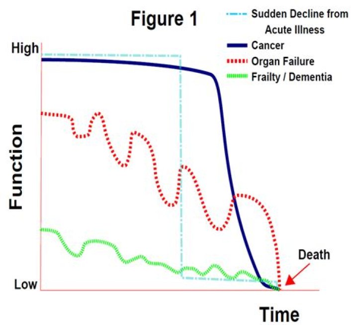 Does Dana Mecum Have Cancer? Illness And Health Update